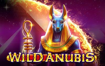 Wild Anubis