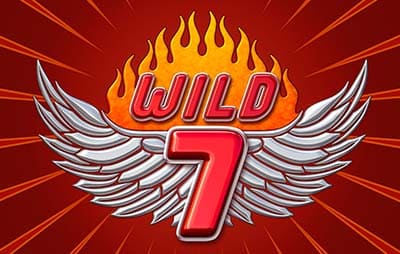 Wild 7